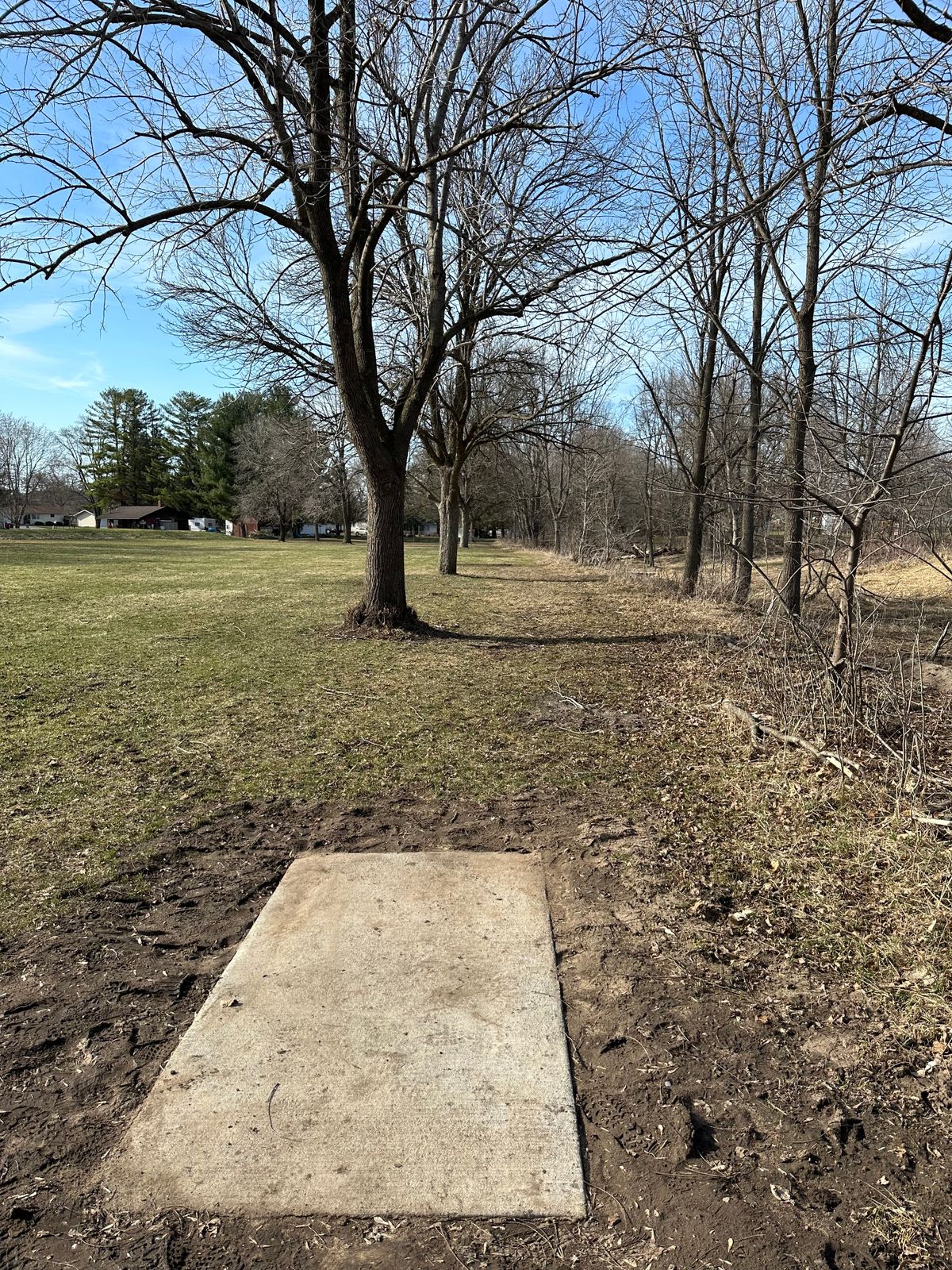 Hole 8 Tee and Fairway