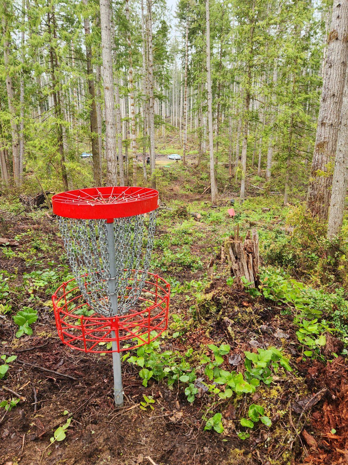 Hole 10 - View back to tee