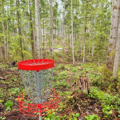 Hole 10 - View back to tee