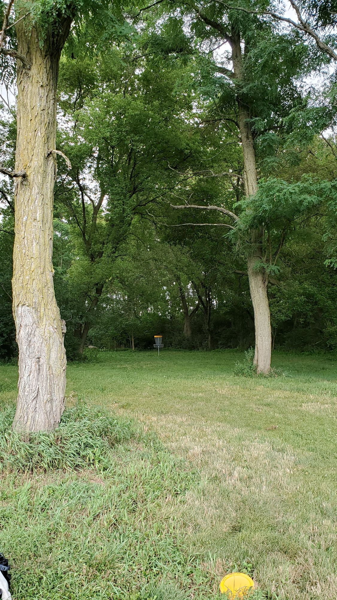 Hole 17's fairway.