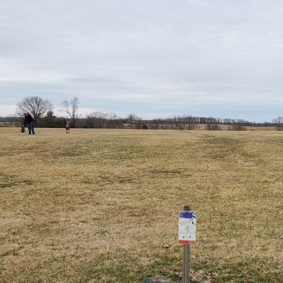 Course is really open minus the fench line on the back side of the course.  There is a line of trees with thorn bushes periodically.