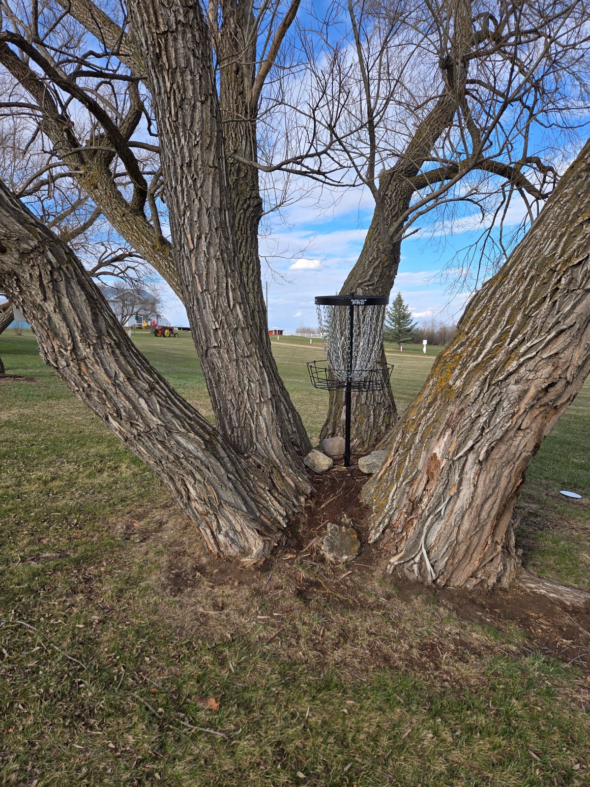 Basket of hole 3