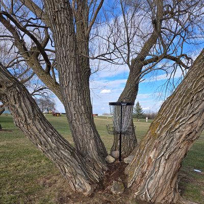 Basket of hole 3