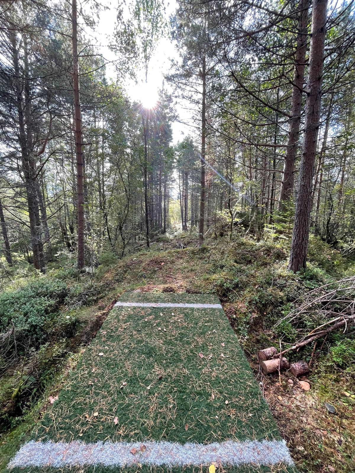 Blå