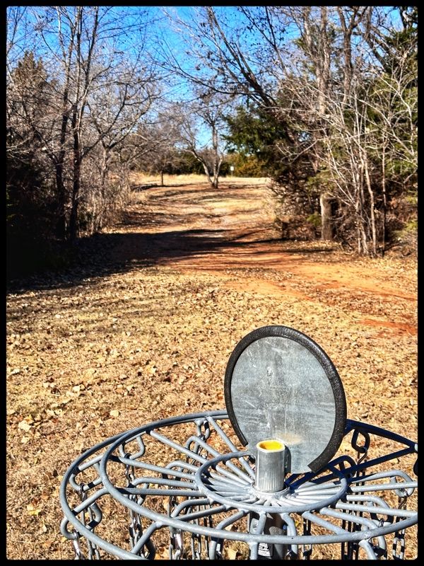 #17 basket looking back to Tee