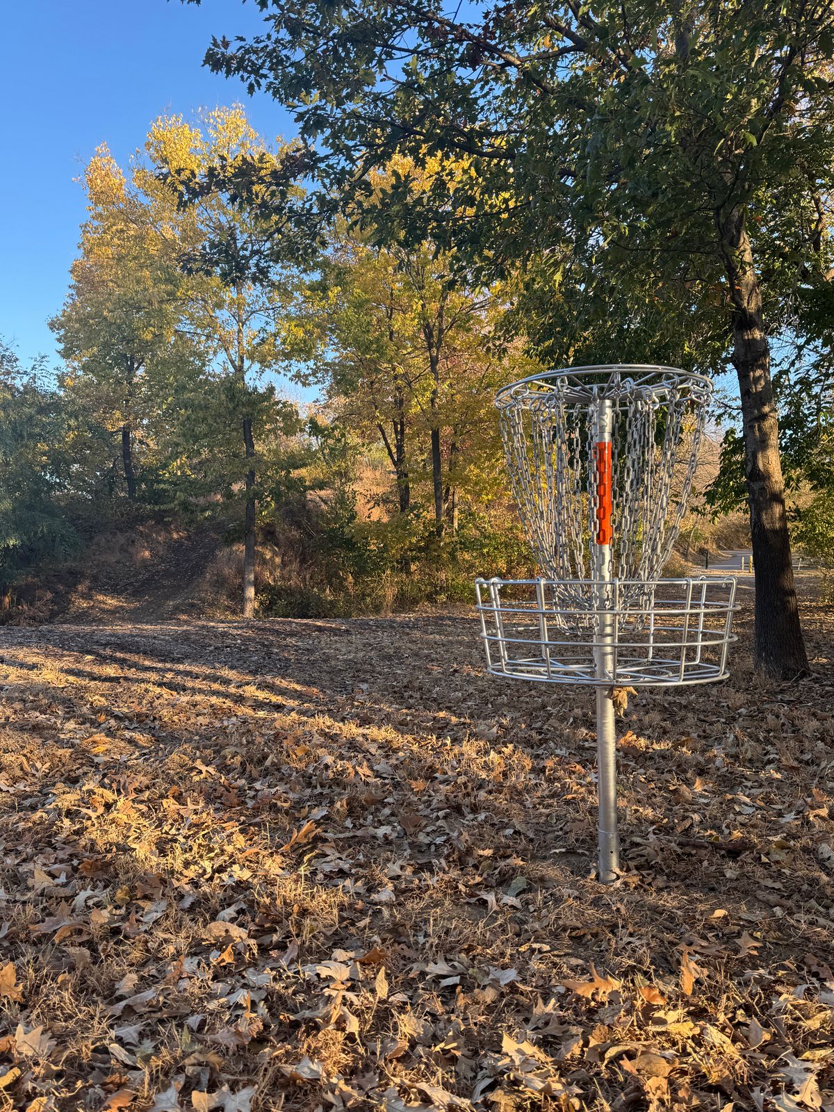 Basket 8, looking uphill back to tee pad