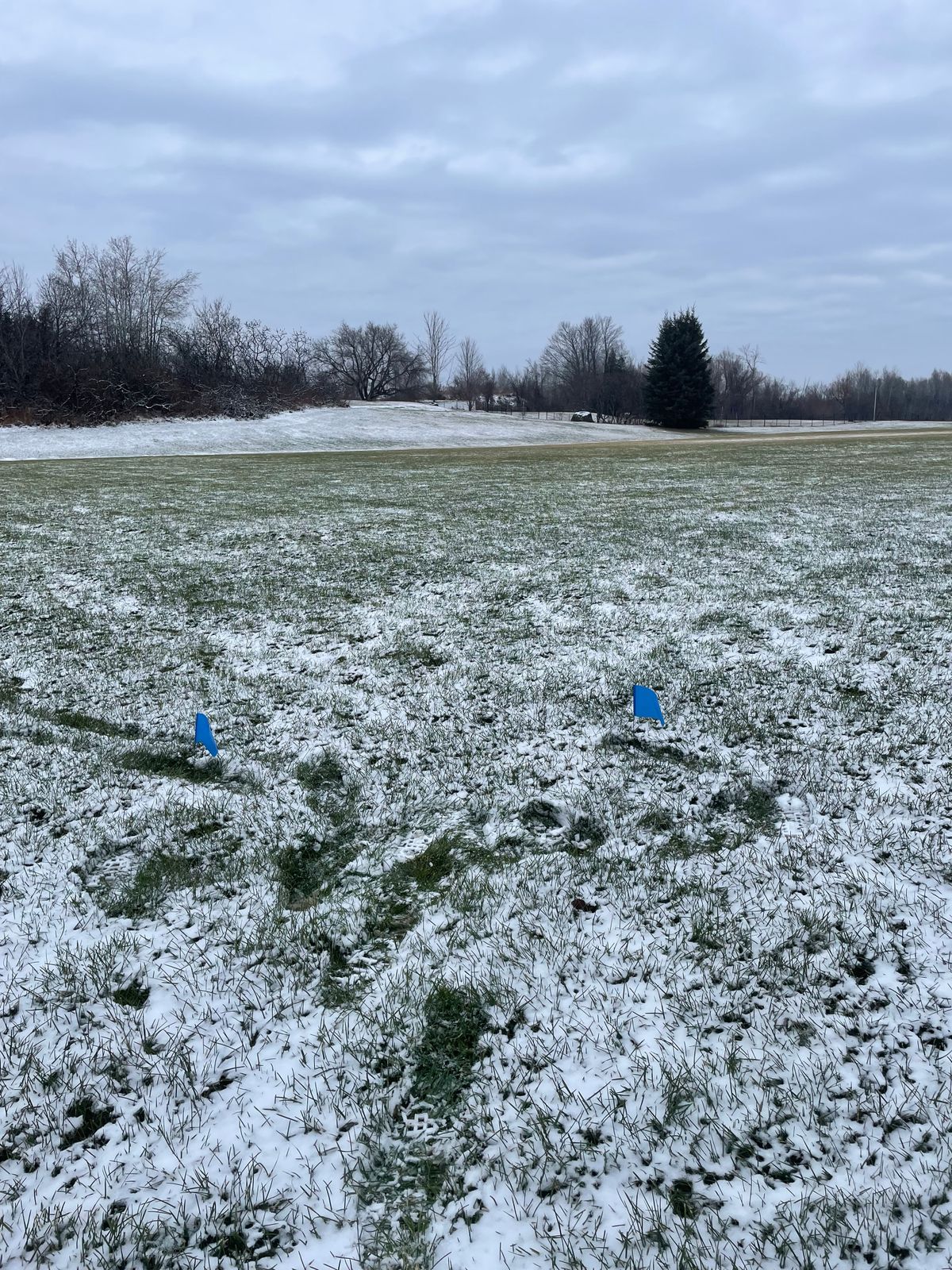 Tee area 1 blues. Dec 2023.