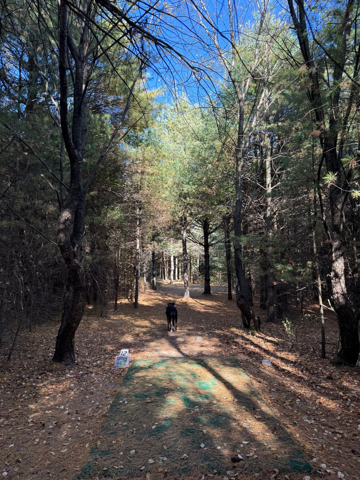 Hole 12