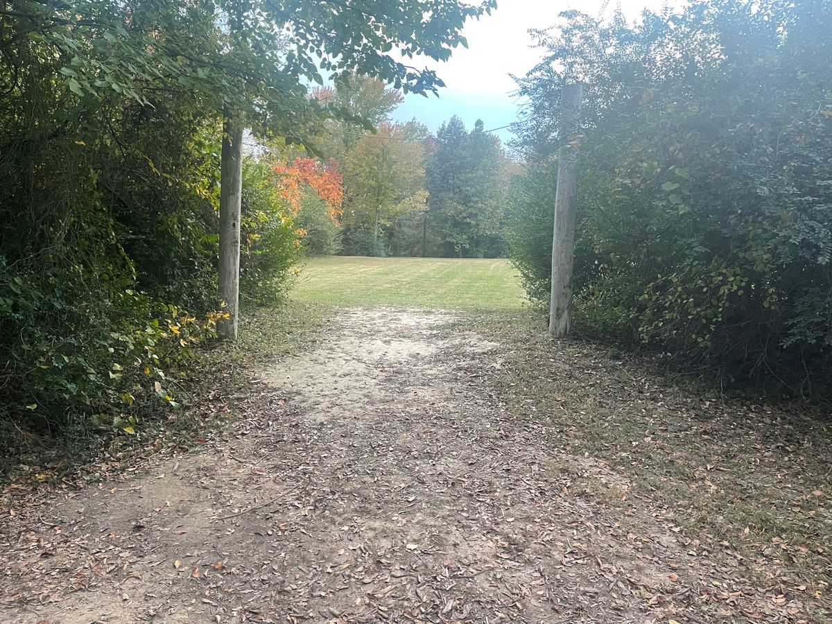 Hole 13- basket has two positions-on left or on the right