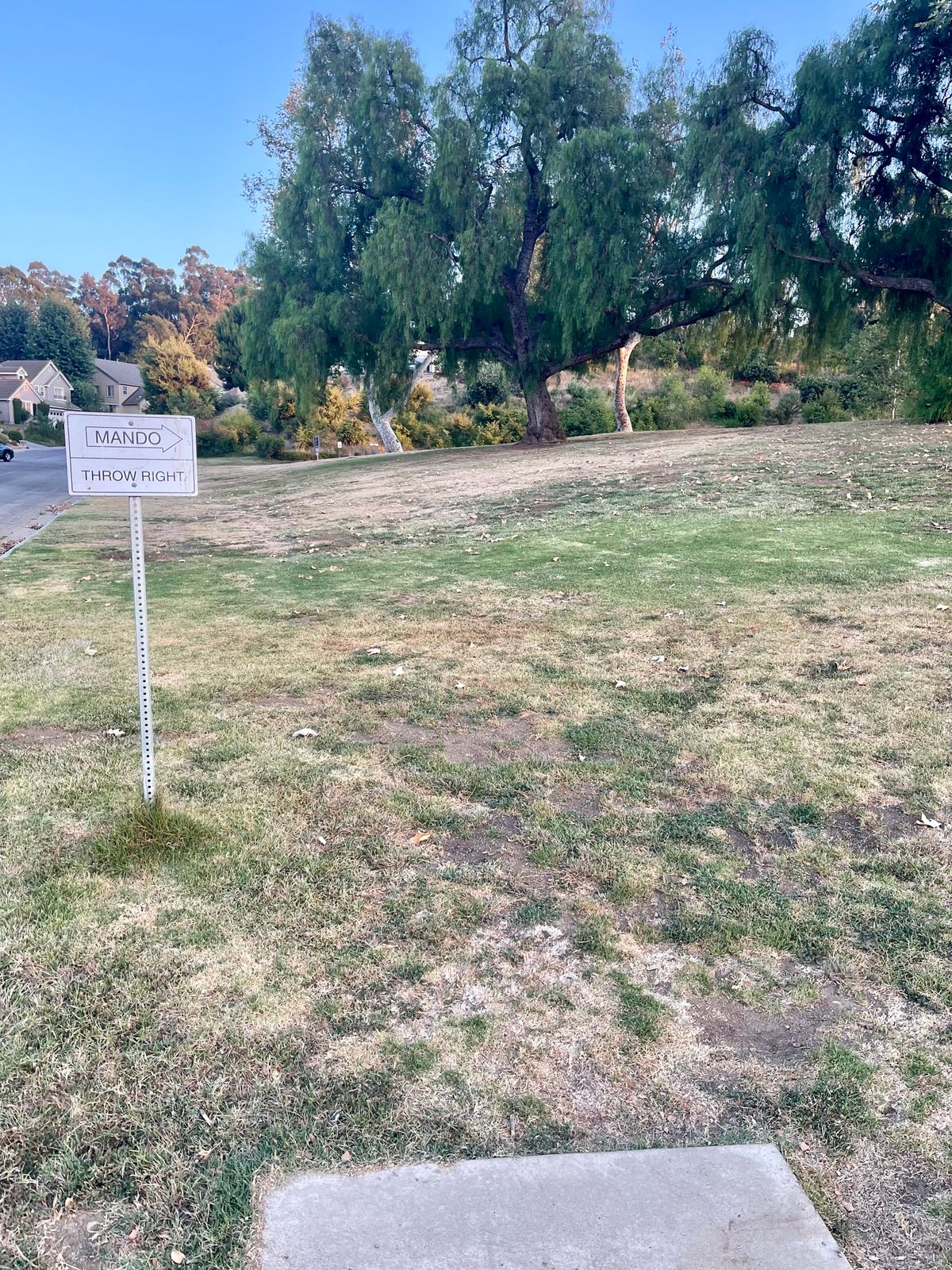 Tee 3