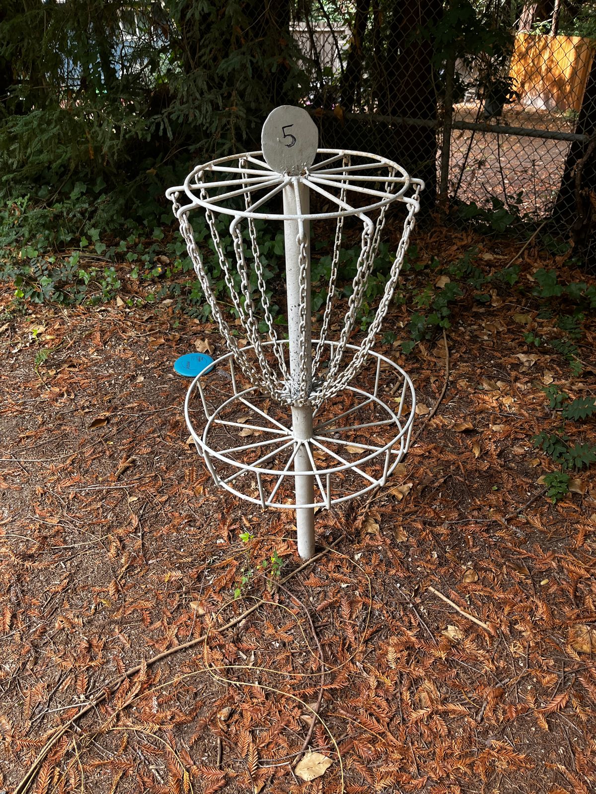Hole 5 basket