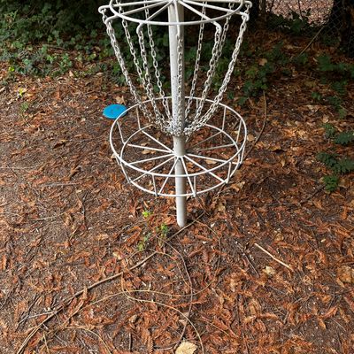 Hole 5 basket