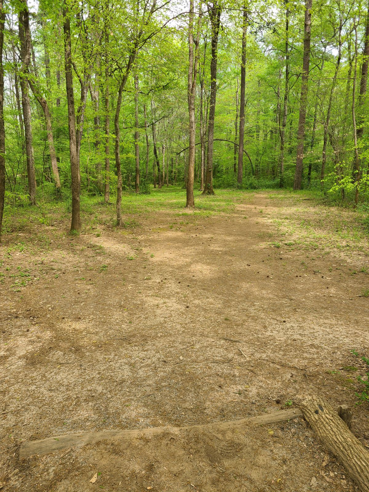 Hole 9 from tee