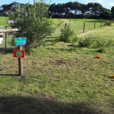 Hole 1 Shark Disc Park