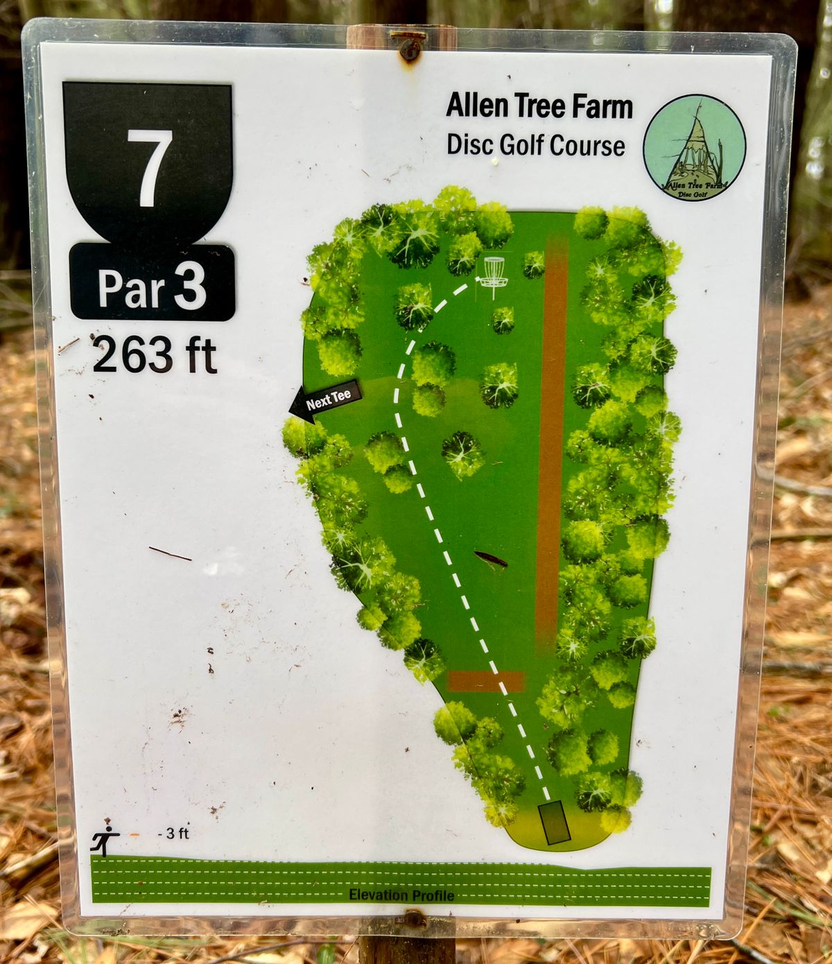 Hole #7