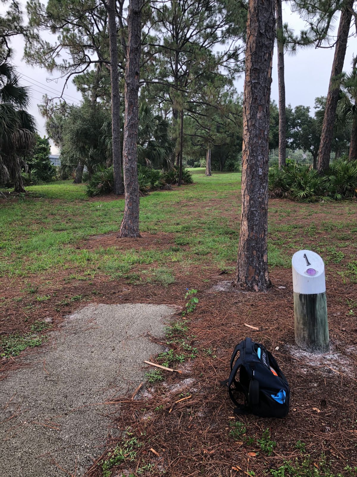 Hole 1 - Blue