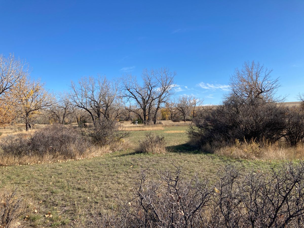 Hole 6 white fairway