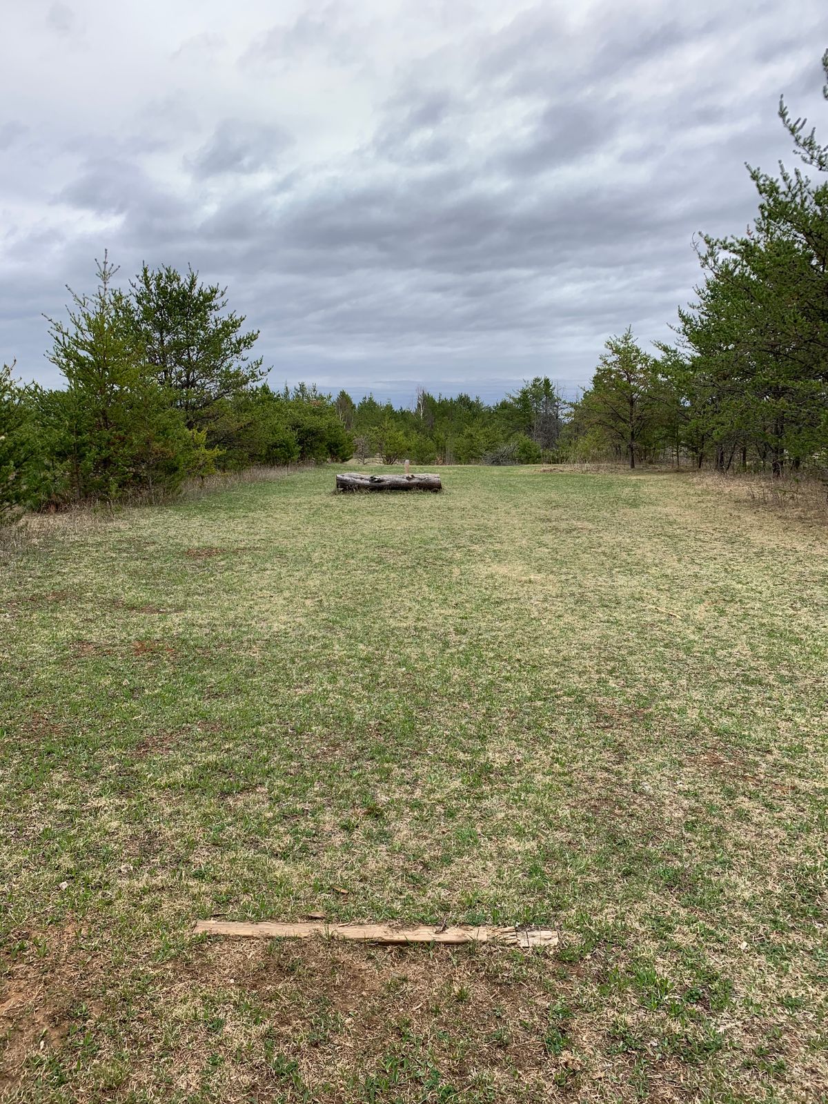 Hole 8 tee box (long)