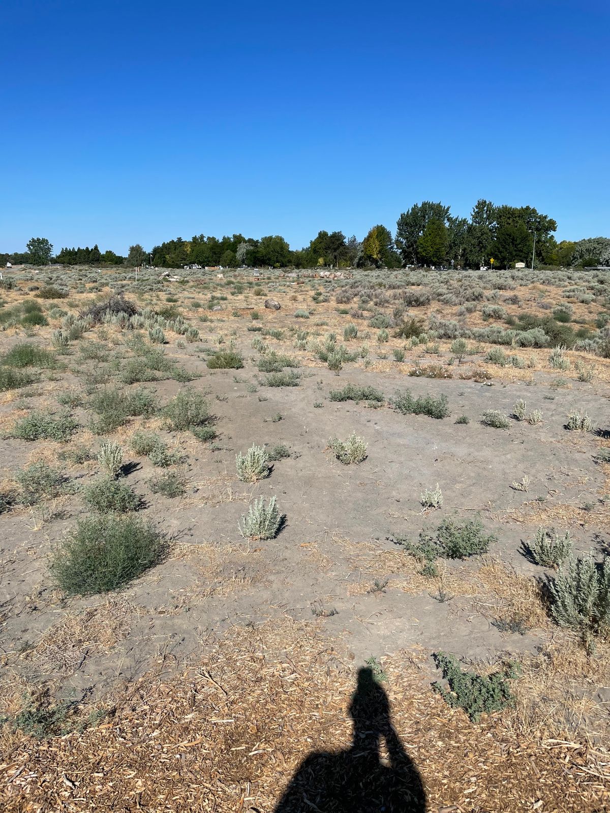 Hole 13