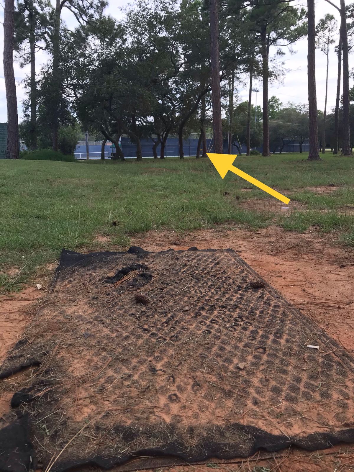 Amateur tee, 14th hole