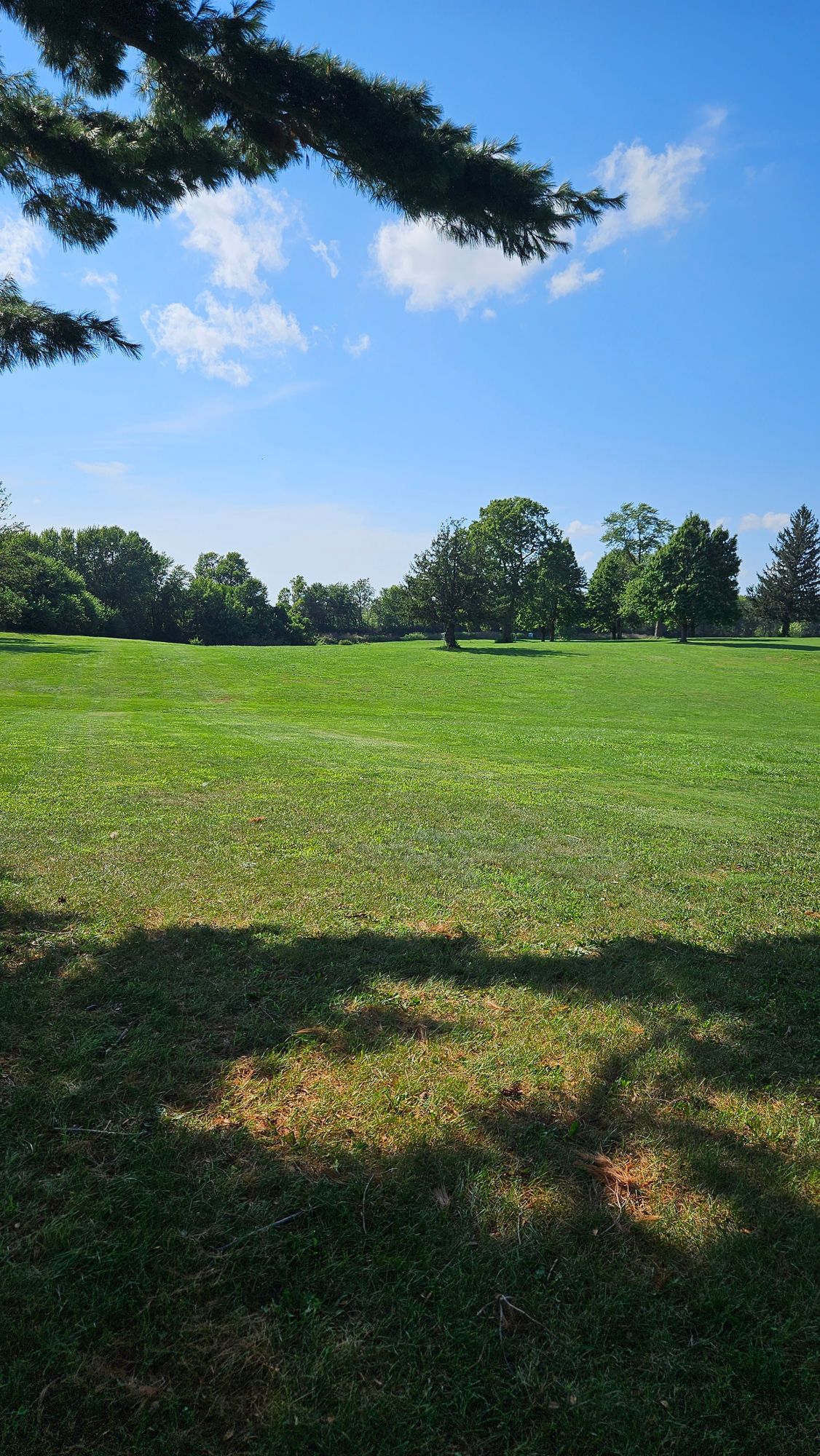 Hole 11 Midway