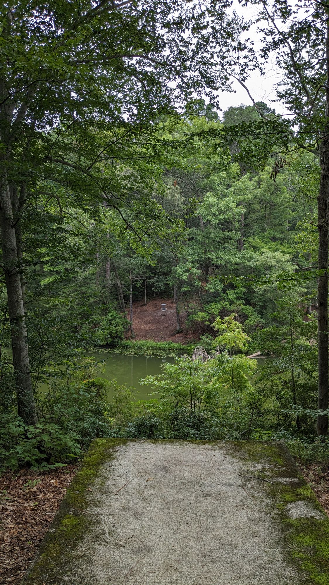 hole 14 short tee