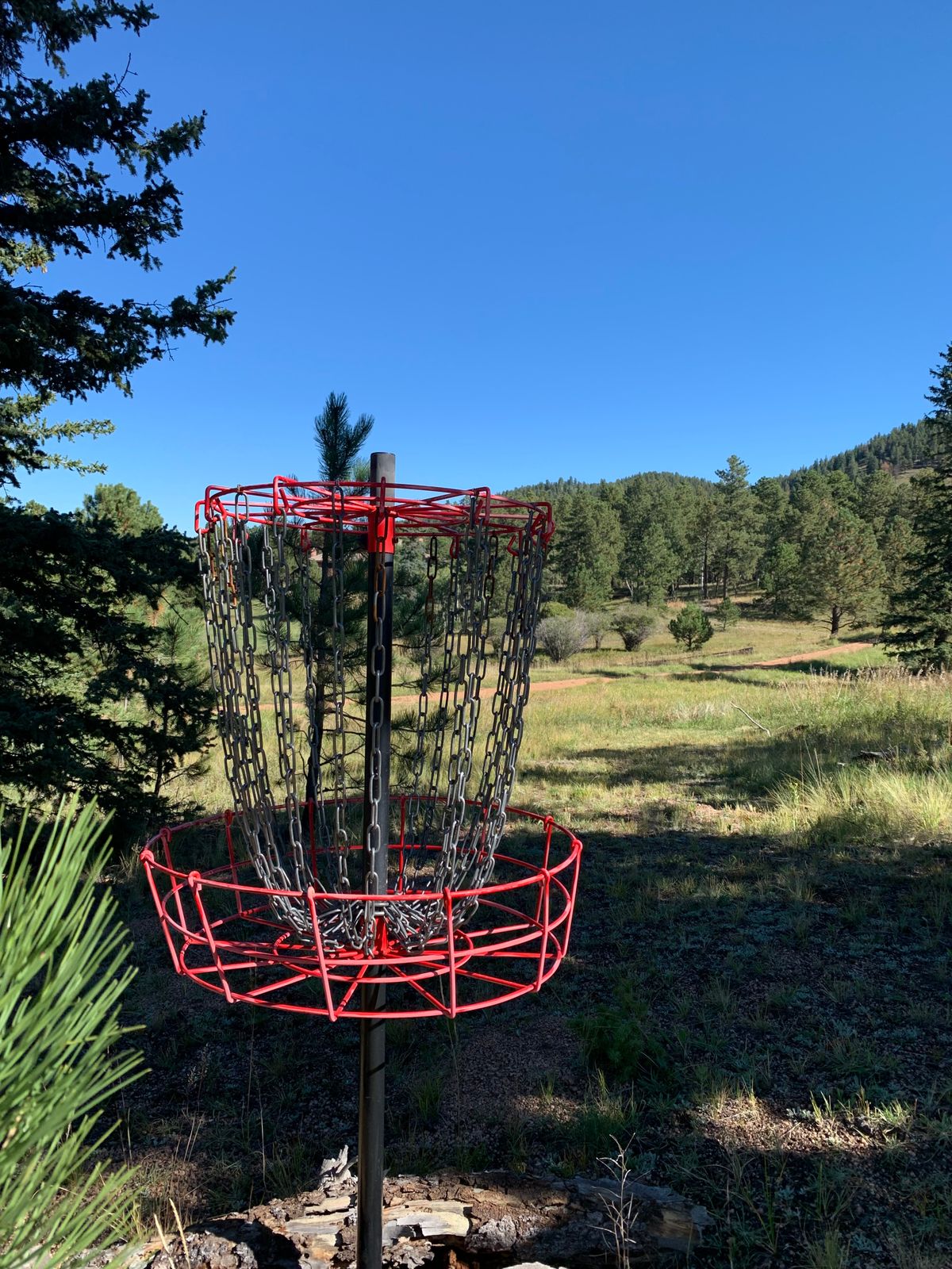 Basket #3
