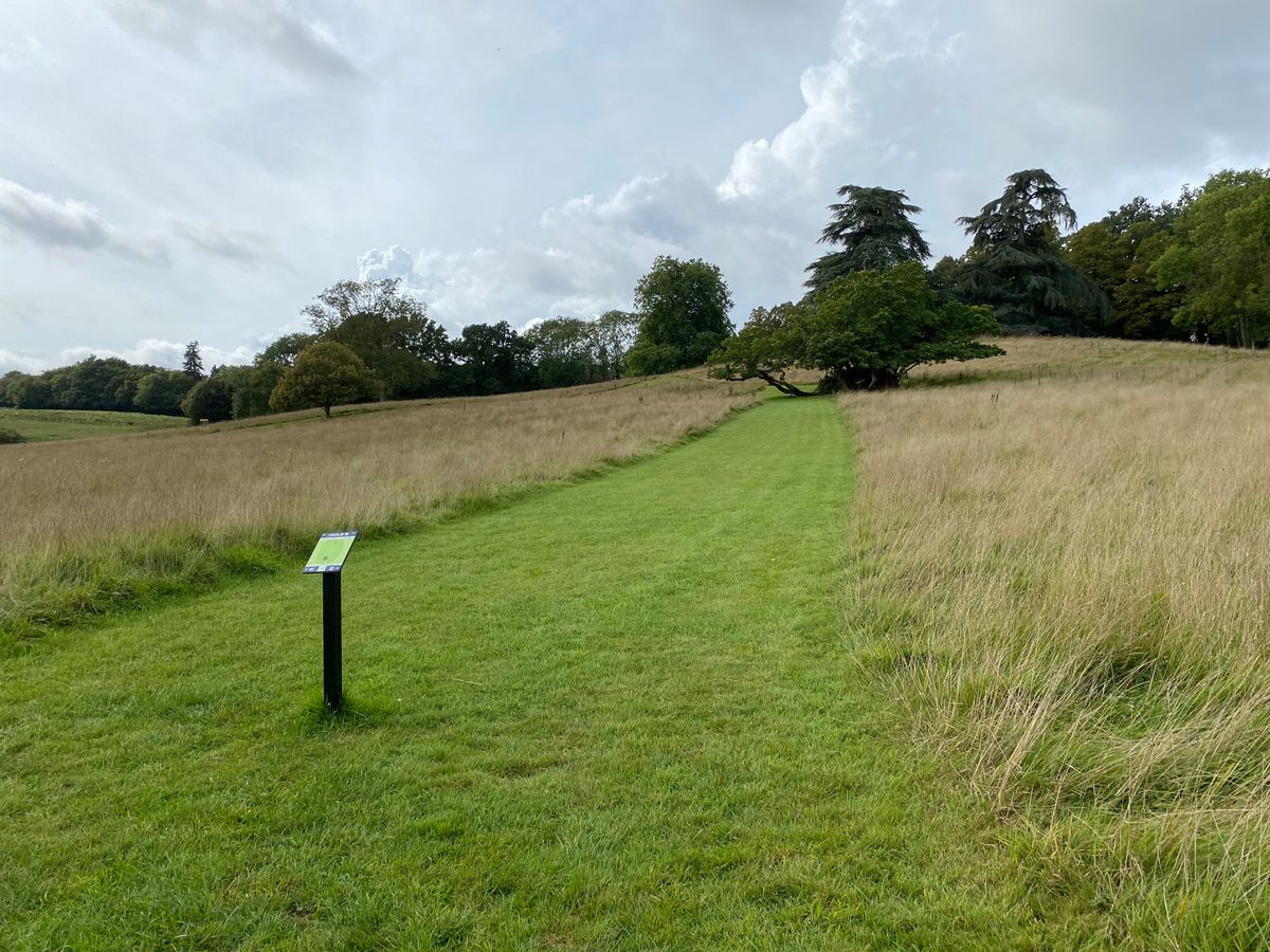Hole 9 long tee