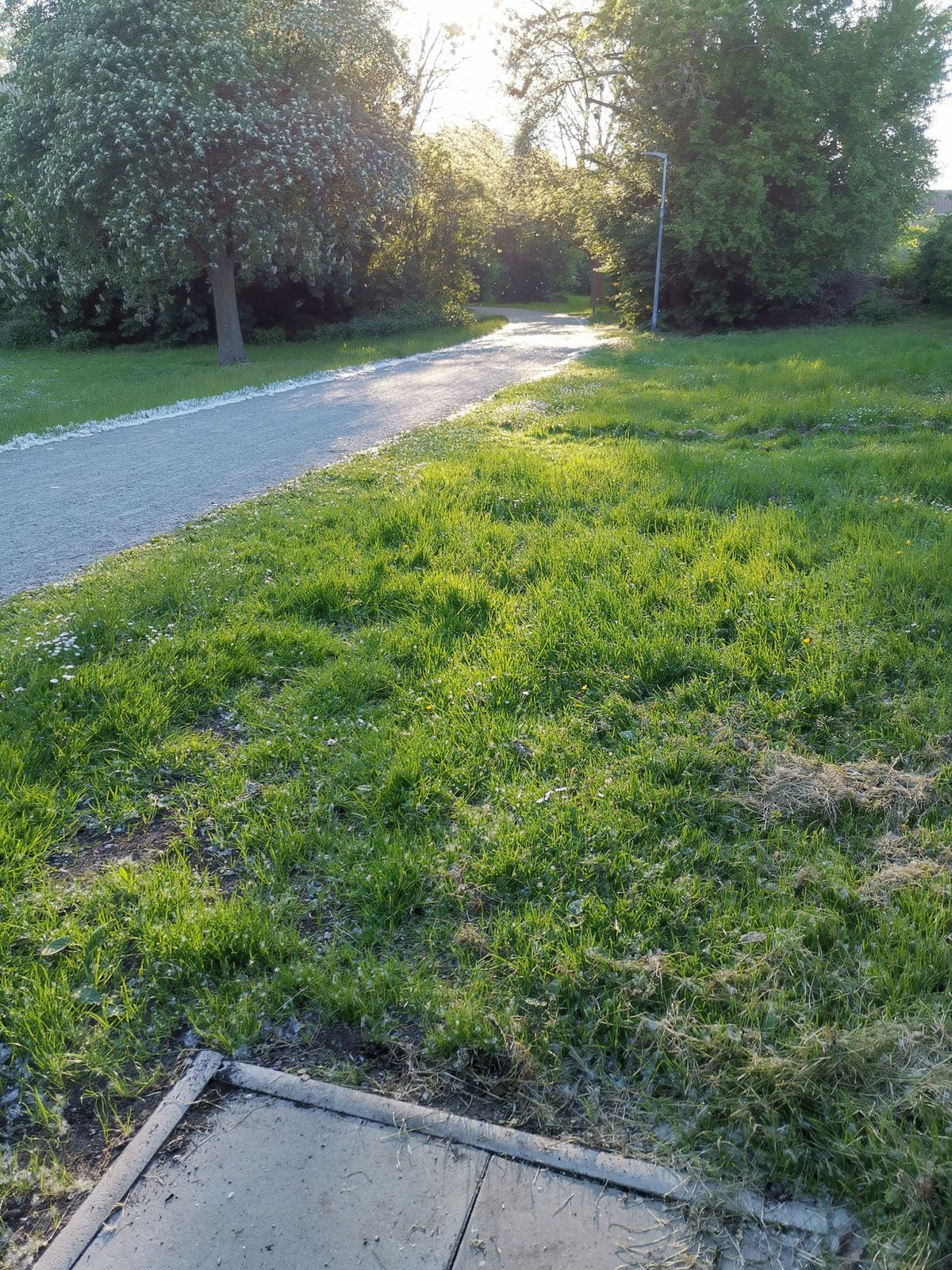 Hole 11