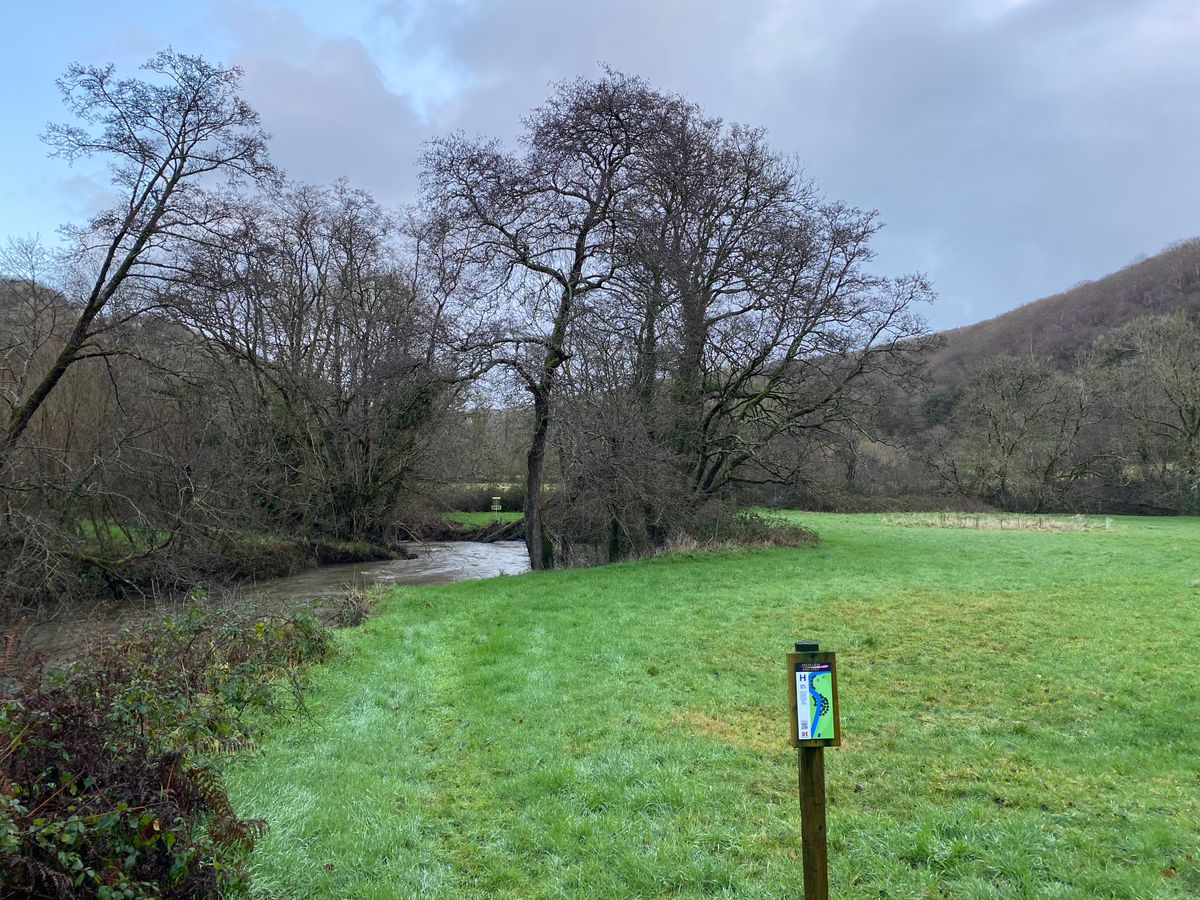 Hole 8 tee