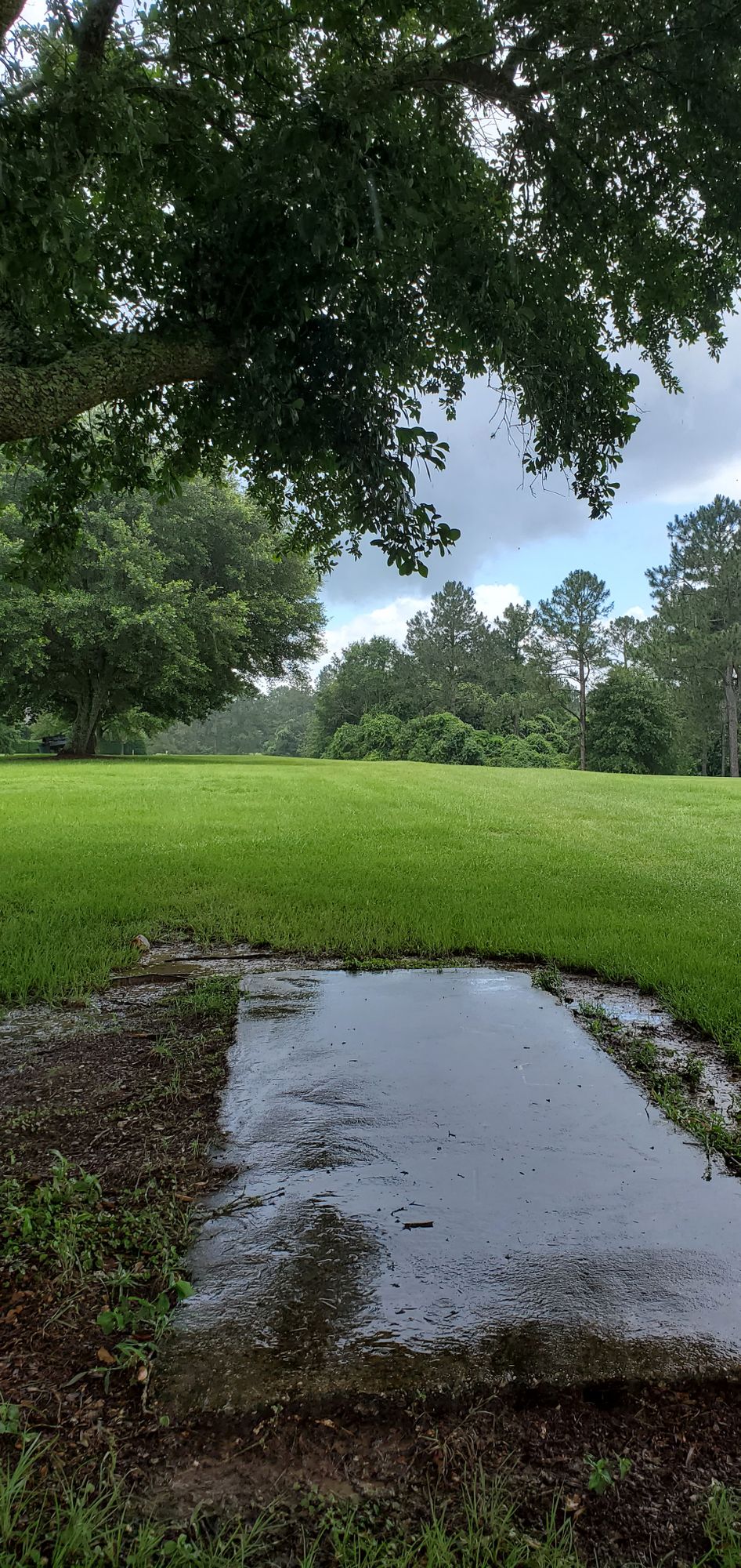 Tee #18, no sign