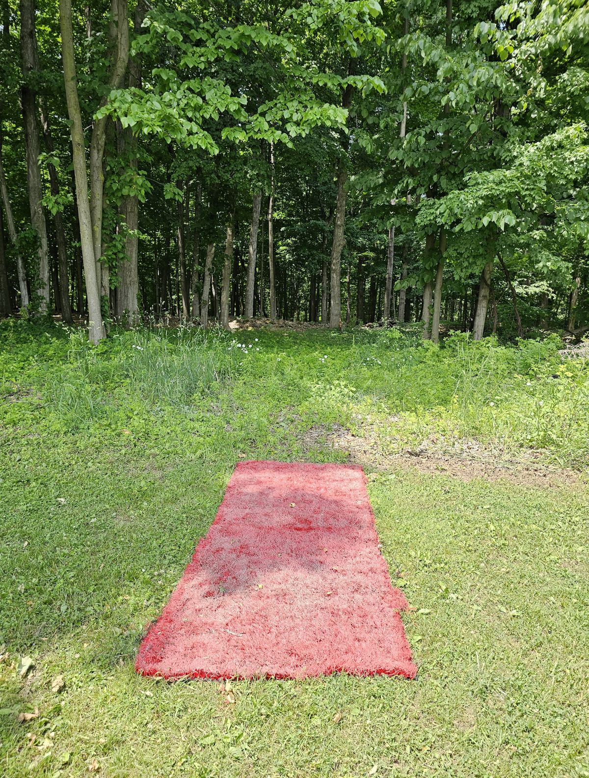 Hole 12