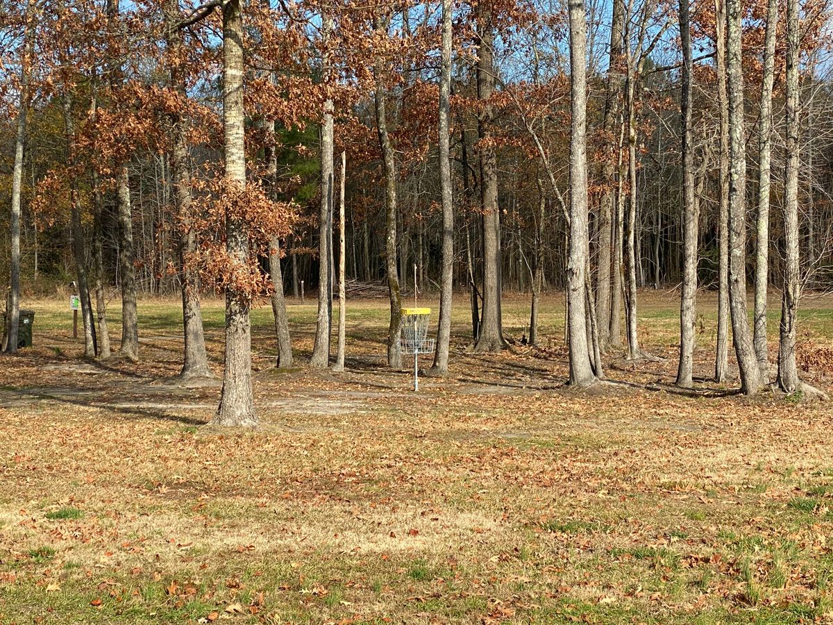 Hole 11 green