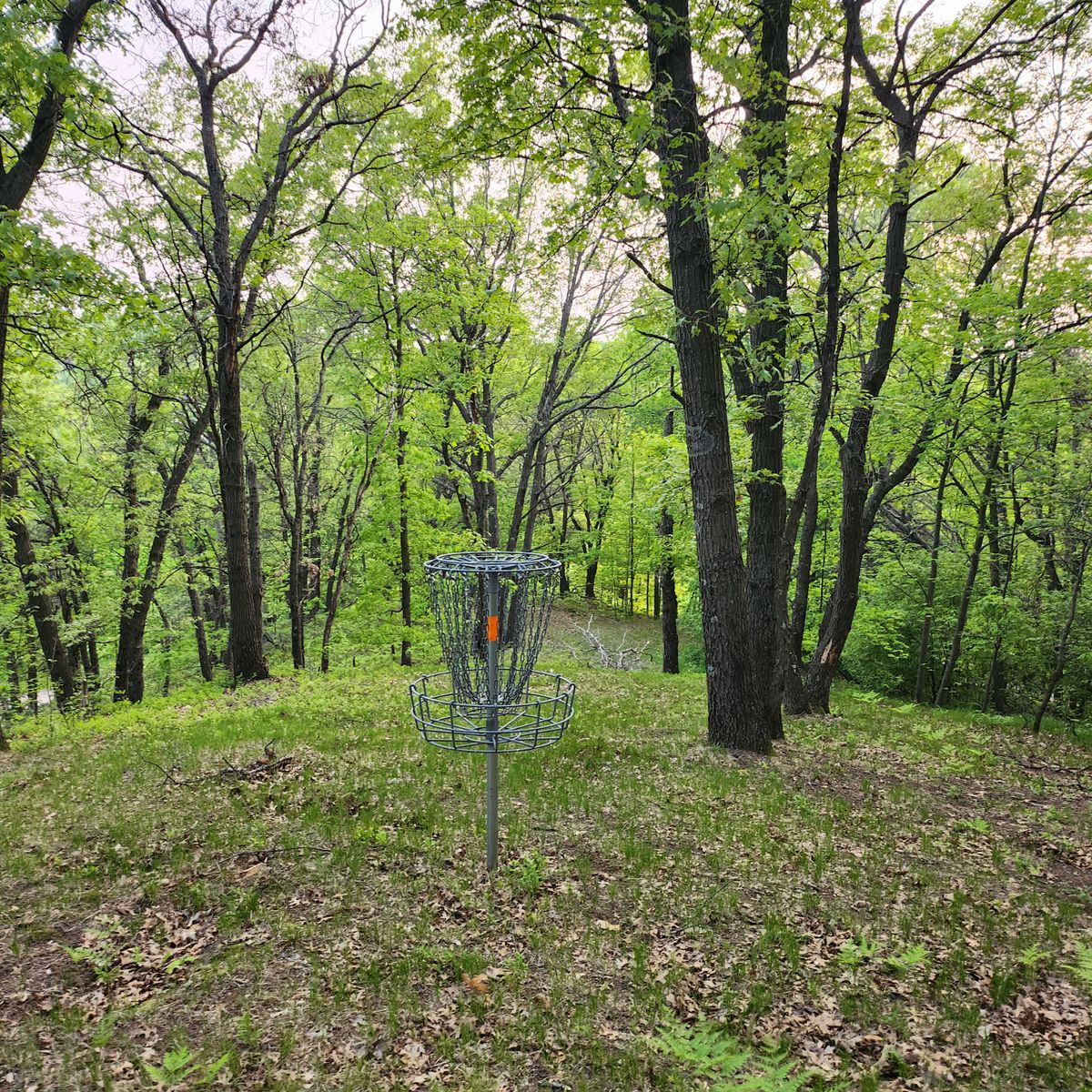 Great Woods play
