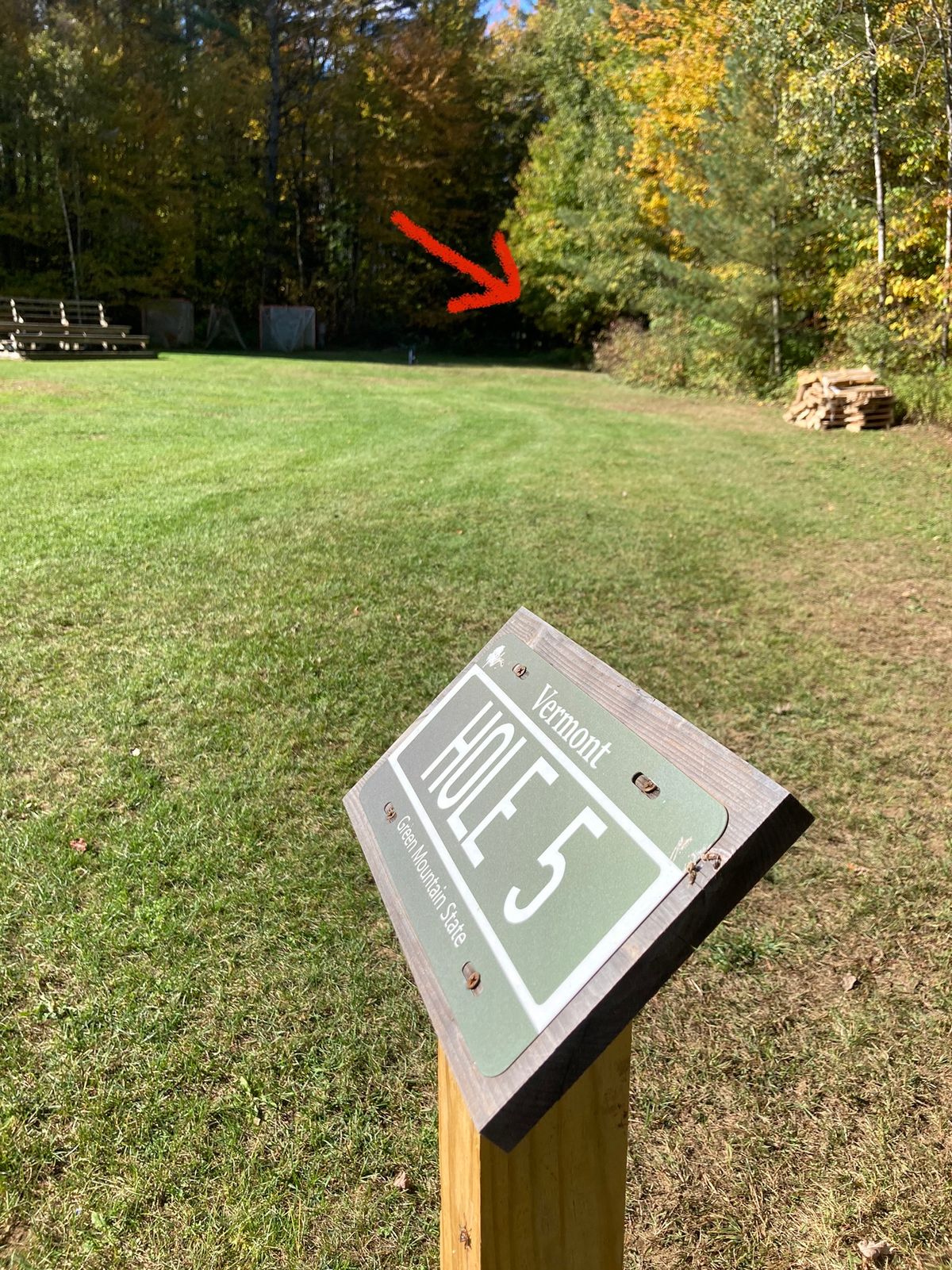 Hole 5 tee