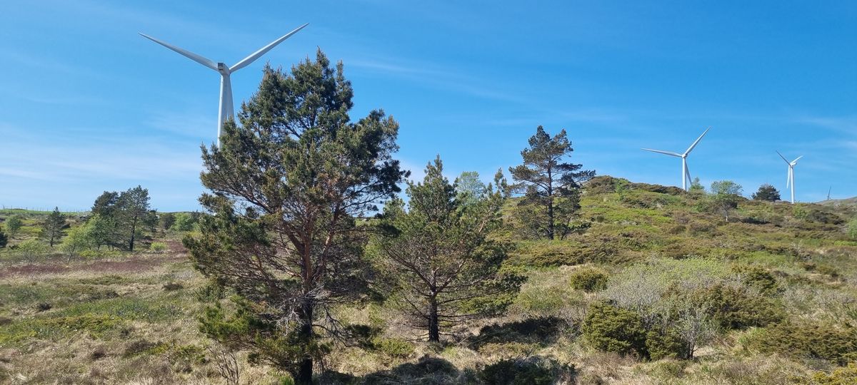 Utkast til hol 1