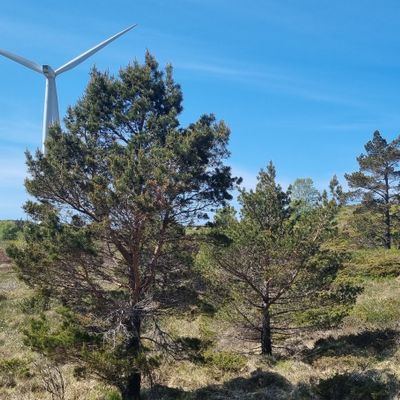 Utkast til hol 1