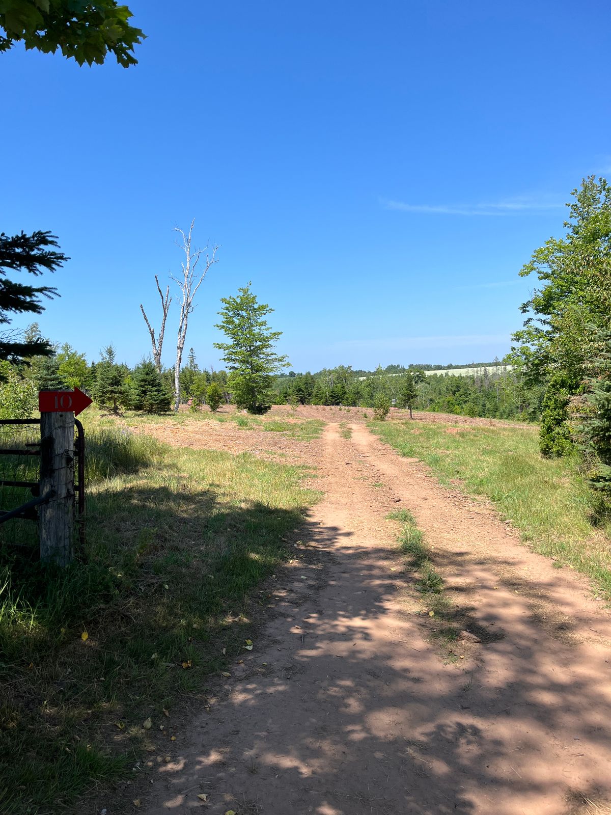 Signs like this are all over the course to help navigate