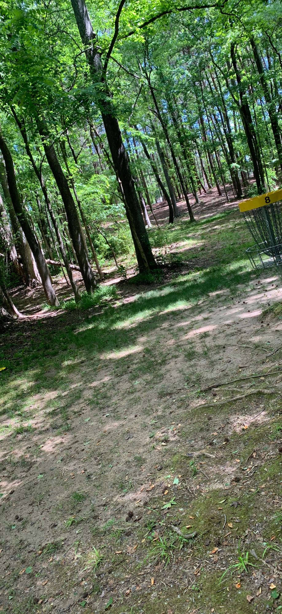 Basket says 8 in photo, but has been changed to 6