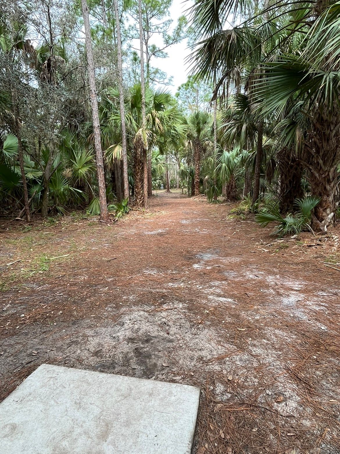 Hole 11