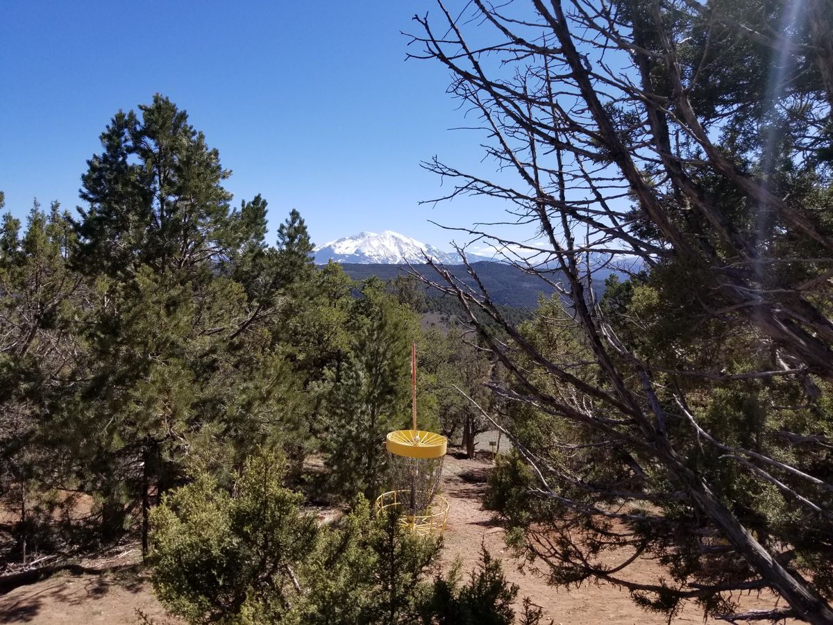 Hole 17 basket