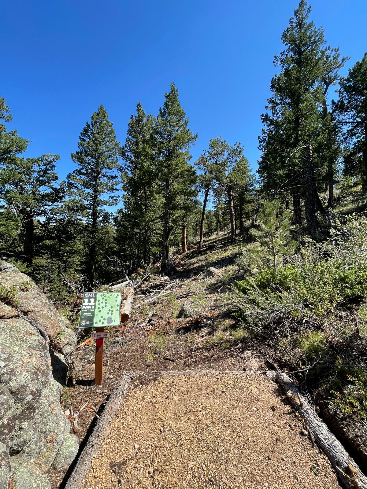 Hole 11 tee