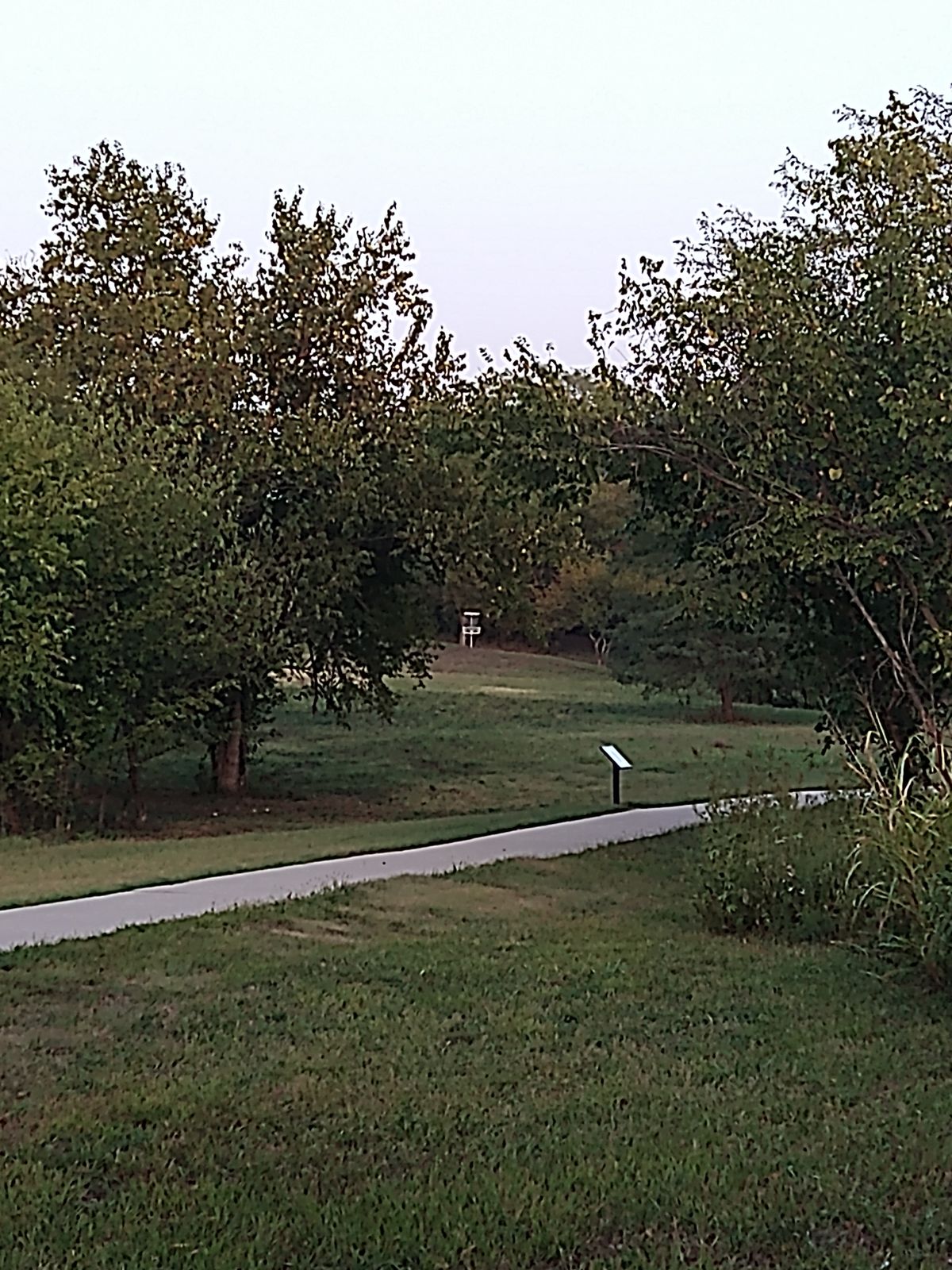 6th Tee Pad, tight line down the center.