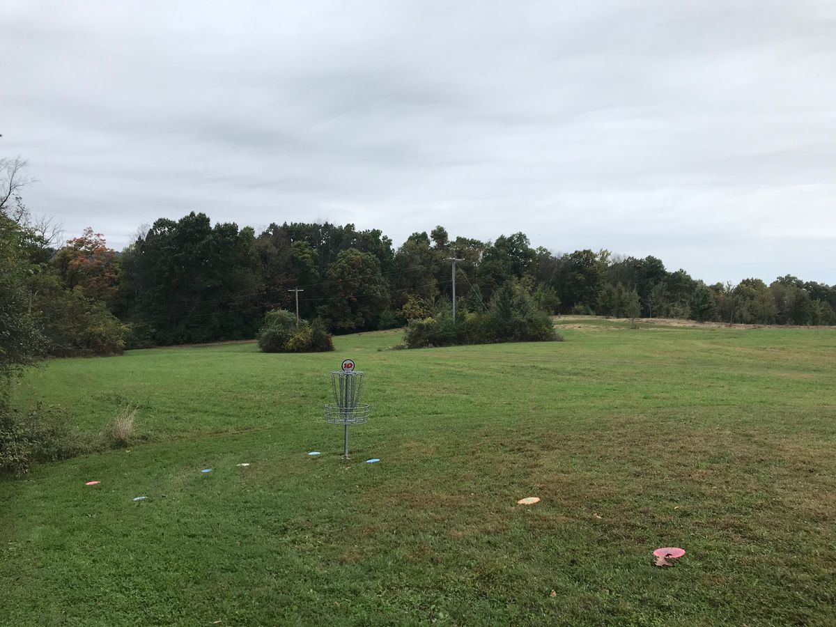 Basket on hole 10