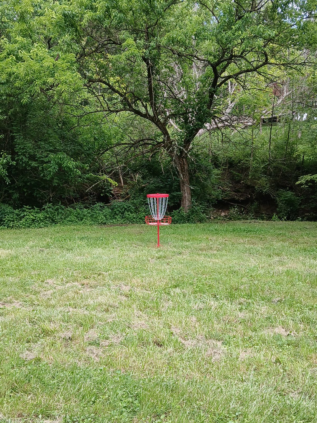 Hole 6 Green