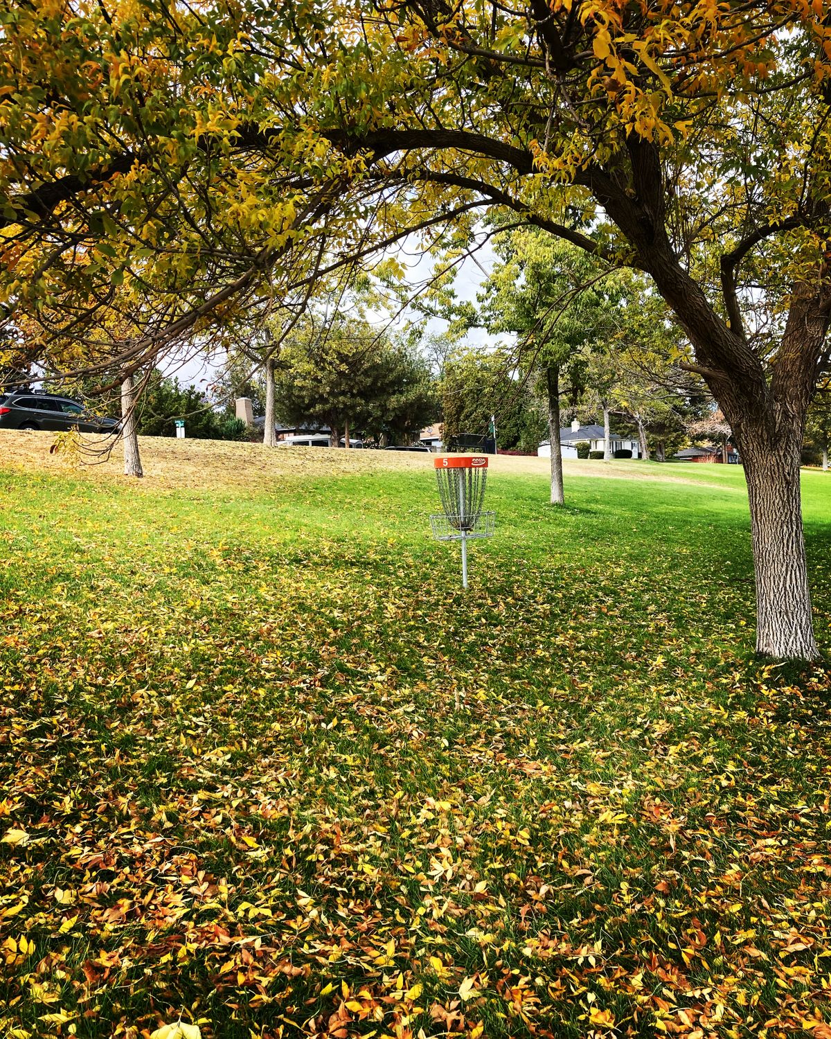 Loving these fall time vibes