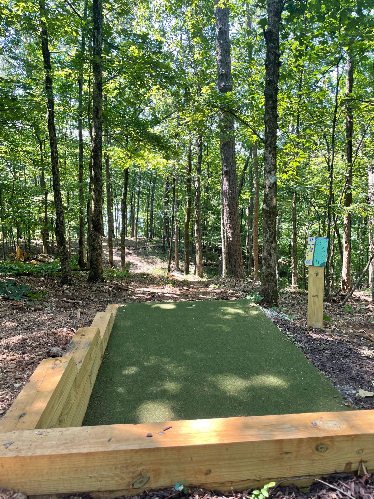 17 tee