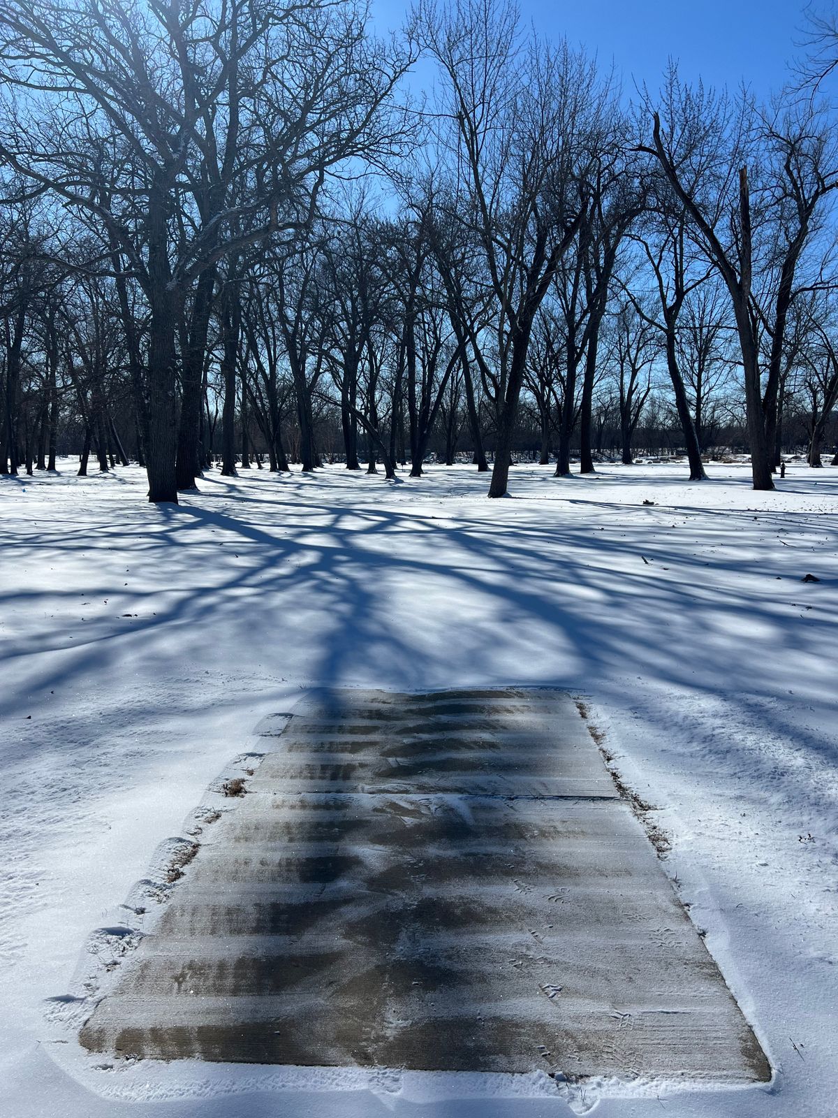 Hole 23 Teepad 2/13/25