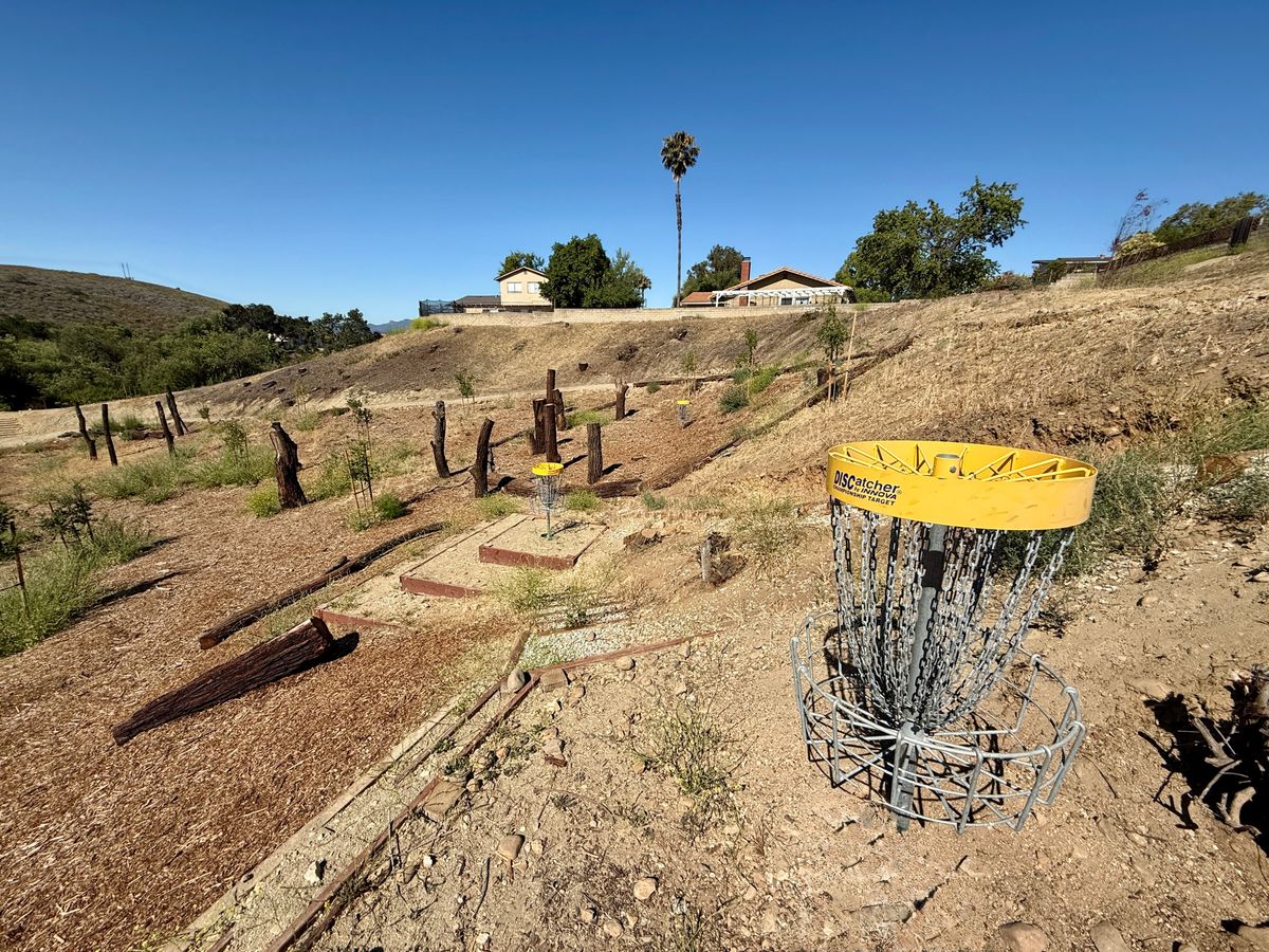 Hole 7 baskets taken from red