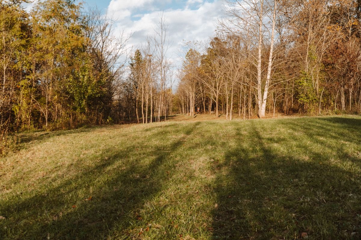 Landing zone (par 4)